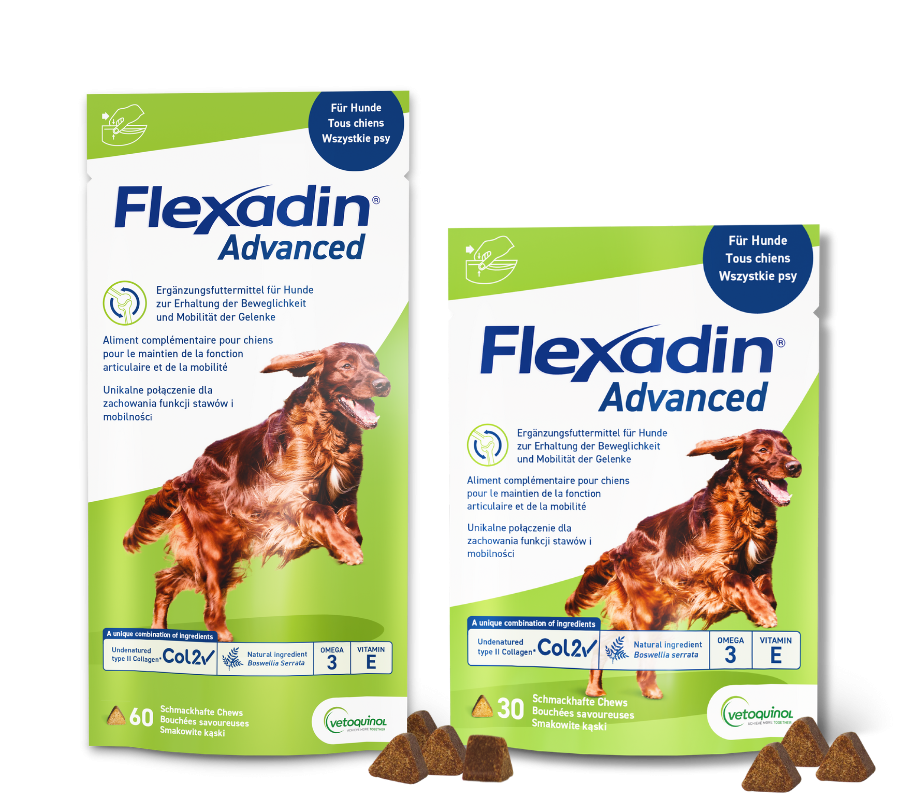 Flexadin Advanced für Hunde