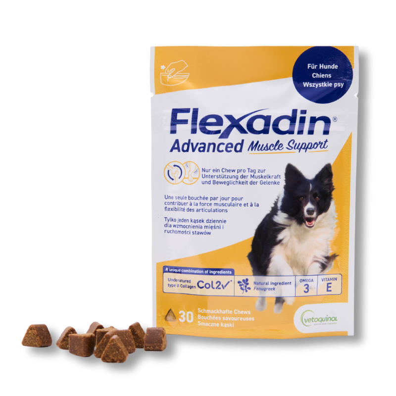 Flexadin Advanced Muscle Support Packshot